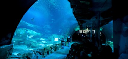 Aquarium de Paris – Cinéaqua