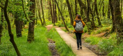 Promenades et randonnées en Bretagne