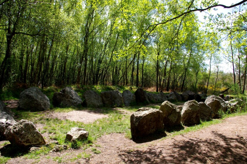Forêt de Paimpont Forêt de Paimpont