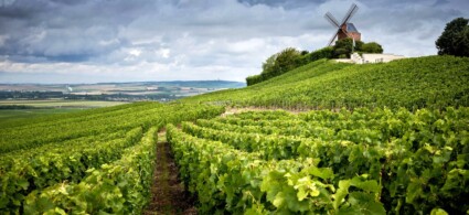 Champagne et Ardennes