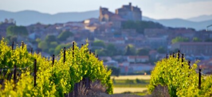 Châteauneuf du Pape