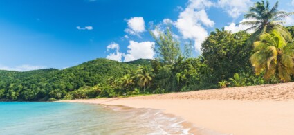 Les plus belles plages de Guadeloupe