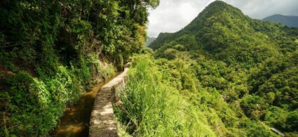 Trekking en Martinique