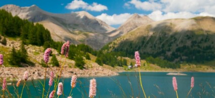 Parc national du Mercantour