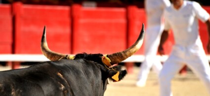 Événements et jours fériés en Provence