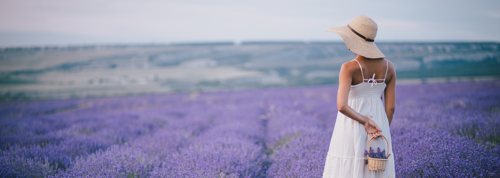 Provence Provence