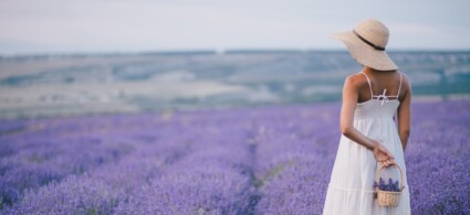 Provence