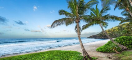 Les plus belles plages de la Réunion