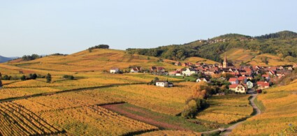 Route des vins en Alsace