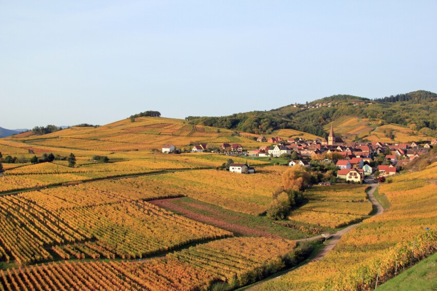 Route des vins en Alsace Route des vins en Alsace