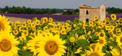 Itineraries in Provence
